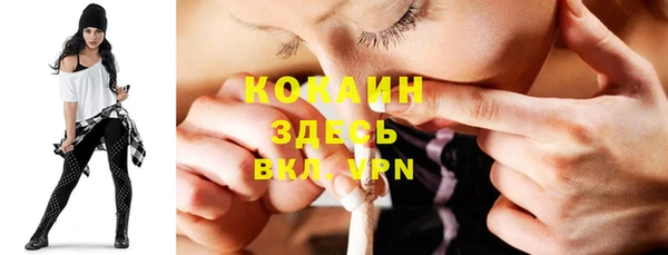 сатива Ростов