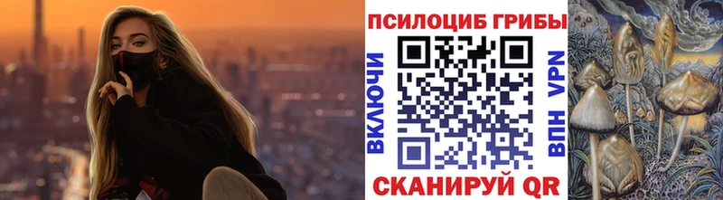 Галлюциногенные грибы мицелий  Жирновск 